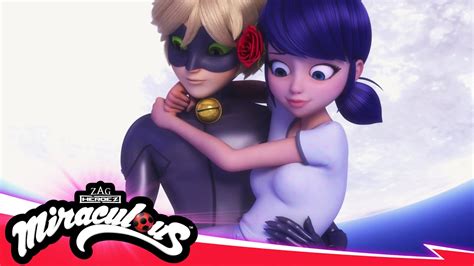 miraculous stagione 5 netflix|Miraculous: Tales of Ladybug & Cat Noir